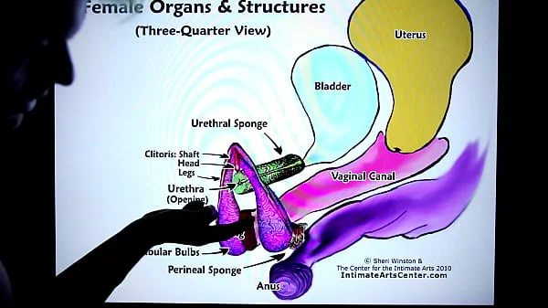 How to Squirt! Explained FAST!