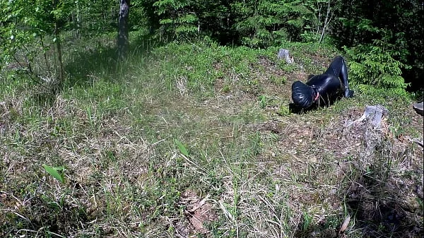 Outdoor hogtie in hot summer day.